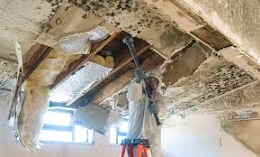 Best Post-Construction Mold Inspection  in Bargersville, IN